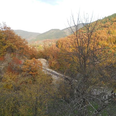 Apartment Cerova Kosa Mokra Gora Luaran gambar