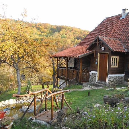 Apartment Cerova Kosa Mokra Gora Luaran gambar