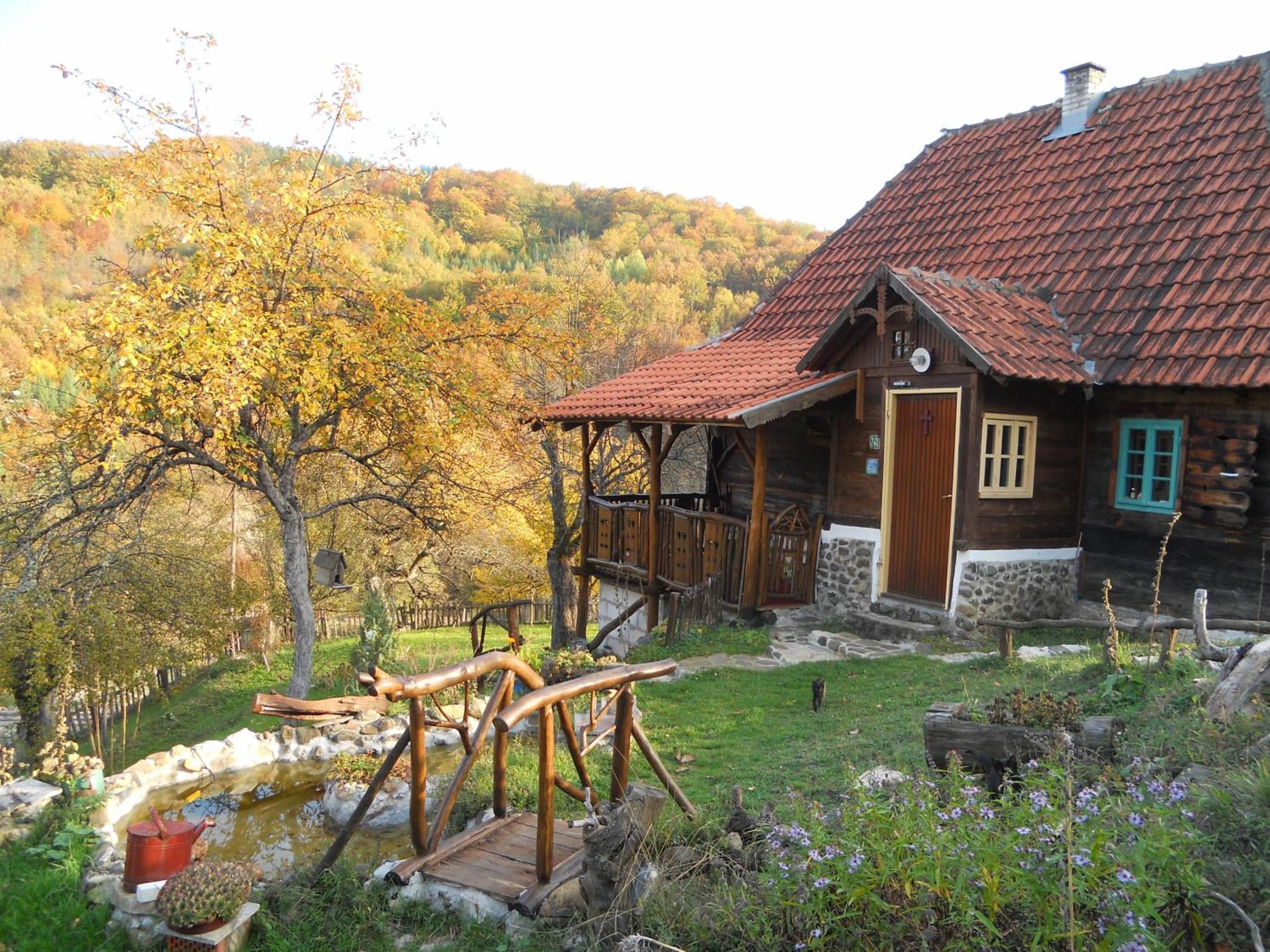 Apartment Cerova Kosa Mokra Gora Luaran gambar