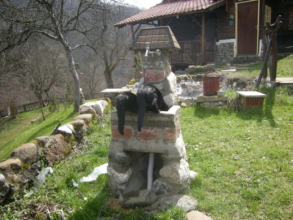 Apartment Cerova Kosa Mokra Gora Bilik gambar